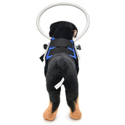 Dog Blindness Anti-Collision Ring Animal Protection Ring Cover Guide Ring, Specification: M(Blue)