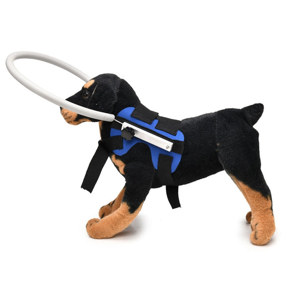 Dog Blindness Anti-Collision Ring Animal Protection Ring Cover Guide Ring, Specification: M(Blue)