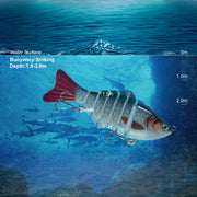 PROBEROS HS066 10cm 15.5g Sea Fishing Simulation Road Sub-Bait(A)