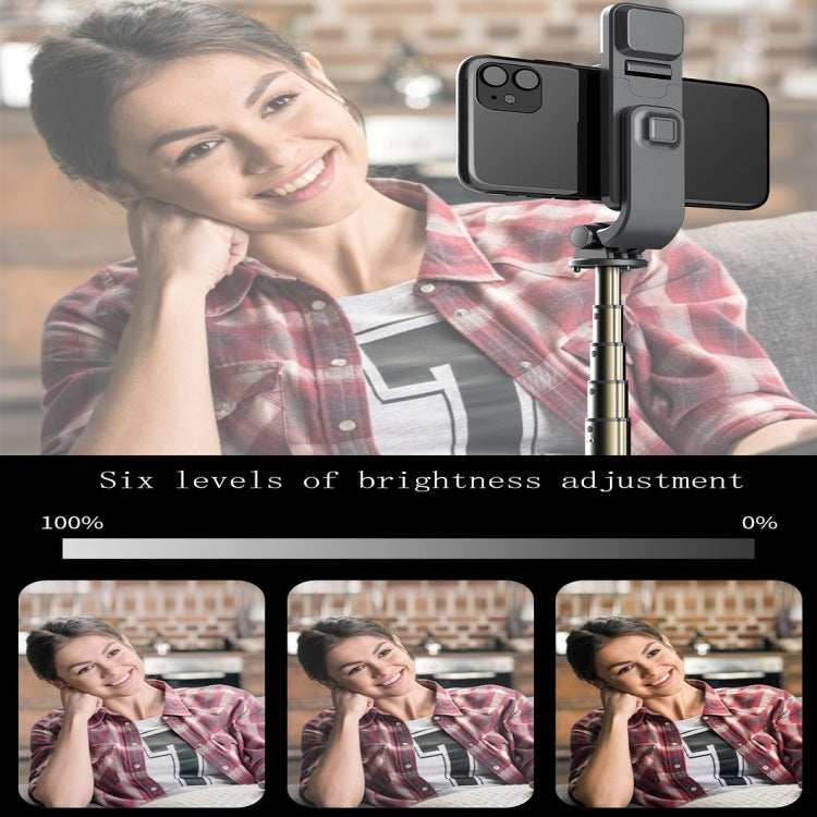 L03S Bluetooth Fill Light Tripod Integrated Selfie Stick(Black)