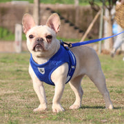 BL-844 Pet Chest Straps Reflective Breathable Dog Rope, Size: S(Black)