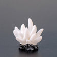 10 PCS Simulation Resin Coral Aquarium Fish Tank Small Ornaments, Colour: No. 7 White - Fish Tank Decoration by PMC TechLife | Online Shopping South Africa | PMC TechLife