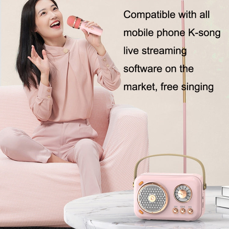 POLVCDG B152 Multi-Functional Small Family KTV Karaoke Microphone Sound Integration(Pink)