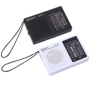 BAIJIALI BJL228 Retro Portable Two Band FM AM Radio Built-in Speaker(Black)