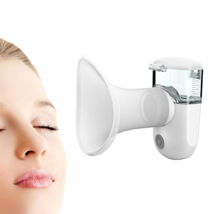 Rechargeable Eye Sprayer Mini Face Steamer Humidifier with Fine Mist(Green)
