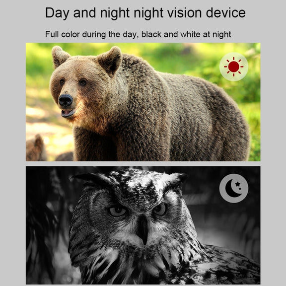 APEXEL 3-inch LCD HD Screen Photo Video Portable Binoculars Digital Infrared Night Vision Device(APL-NV009)