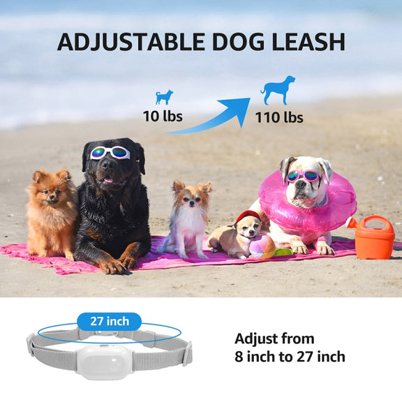 Smart Water-resistant Shock Collar For Pets Remote Control Dog Training Device, Size: For-Two-Dog(Black)