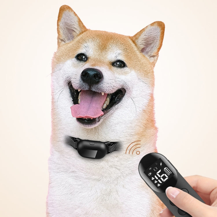 Smart Water-resistant Shock Collar For Pets Remote Control Dog Training Device, Size: For-Two-Dog(Black)