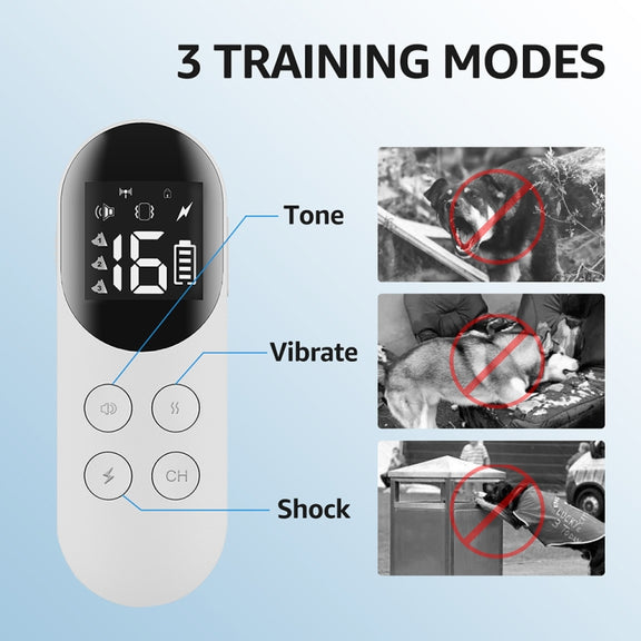 Smart Water-resistant Shock Collar For Pets Remote Control Dog Training Device, Size: For-Two-Dog(Black)