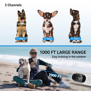 Smart Water-resistant Shock Collar For Pets Remote Control Dog Training Device, Size: For-Two-Dog(Black)
