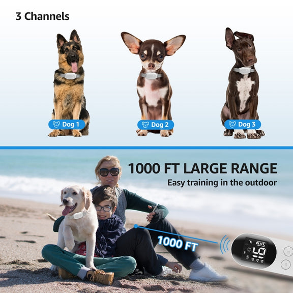 Smart Water-resistant Shock Collar For Pets Remote Control Dog Training Device, Size: For-Two-Dog(Black)